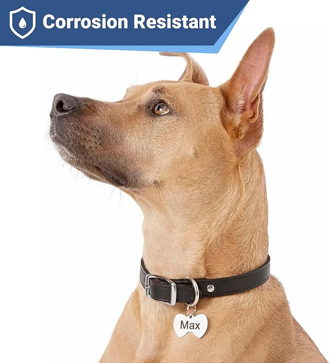 GoTags Stainless Steel Pet ID Tags, Personalized Dog Tags and Cat Tags, up to 8 Lines of Custom Text, Engraved on Both Sides, in Bone, Round, Heart, Bowtie and More (Bow Tie, Small (Pack of 1))