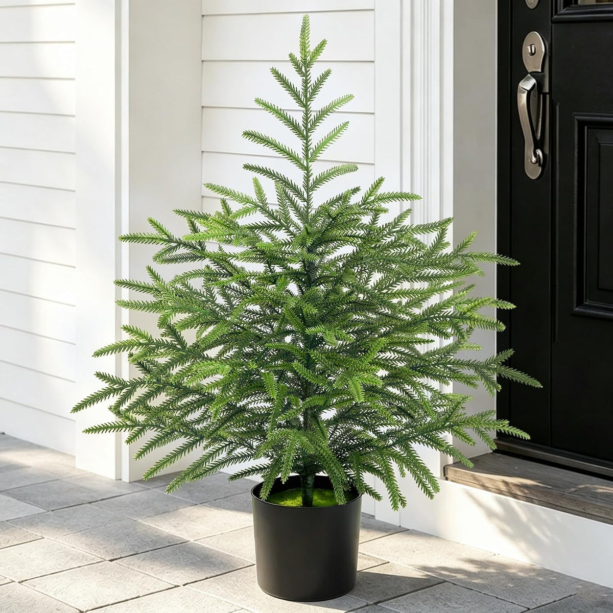 2 ft real touch christmas tree with lights shown in use