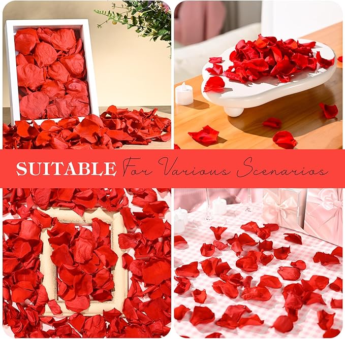 230 PCS Red Dired Rose Petals 2.1oz/60g Natural Real Rose Flower Petals for Wedding Aisle, Flower Girl Basket, Will You Marry Me, Valentines Day, Romantic Night, Proposal, Anniversary, Special Night