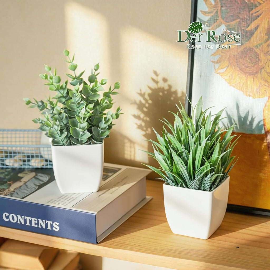 Der Rose 2 Pack Small Fake Plants Mini Artificial Potted Plants for Table Desk Home Laundry Room Bathroom Office Classroom Decor
