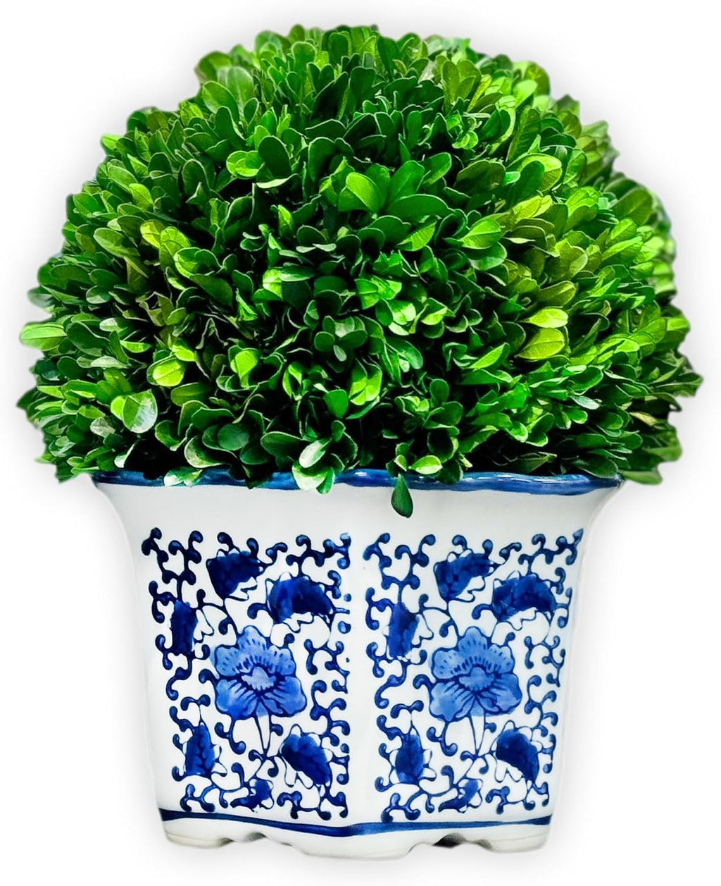 galt international 11" naturally preserved real boxwood ball, main product view