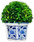 galt international 11" naturally preserved real boxwood ball, main product view