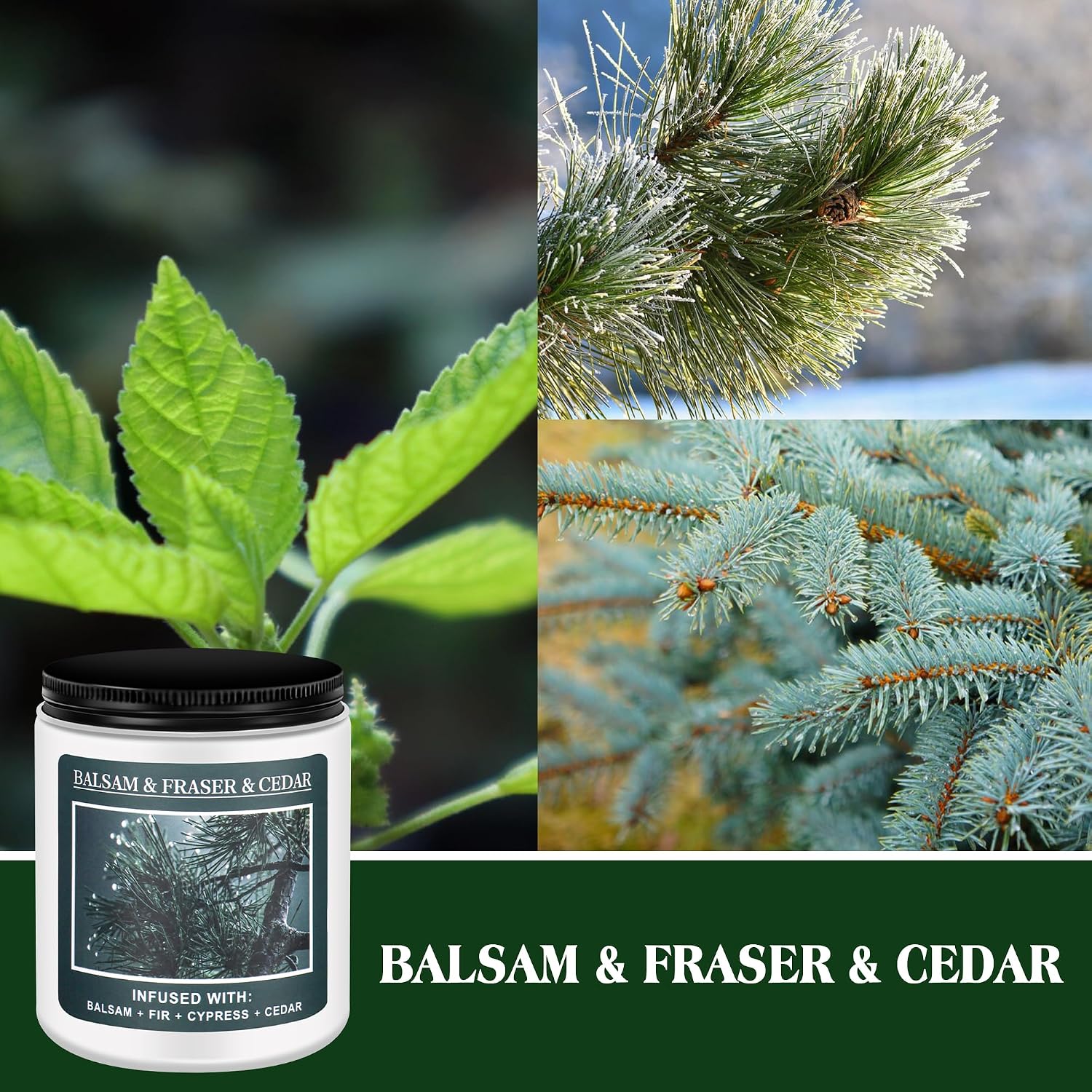 Homsolver Christmas Tree Fir Pine Candles, Christmas Holidays Balsam Candles, Balsam & Fraser & Cedar Scent with 50+ Hours Burning Time, Unique Gifts for Women