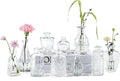 Vintage Small Vases for Flowers Set of 10, Mini Bud Vases for Flowers,Clear Small Vases in Bulk for Centerpieces Decorations,Wedding Party Home Coffee Table Flower Decor (Clear)