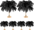 80 Pcs Large Natural Ostrich Feathers Plumes 14-16 Inch Bulk for DIY Crafts Wedding Party Centerpiece Vase