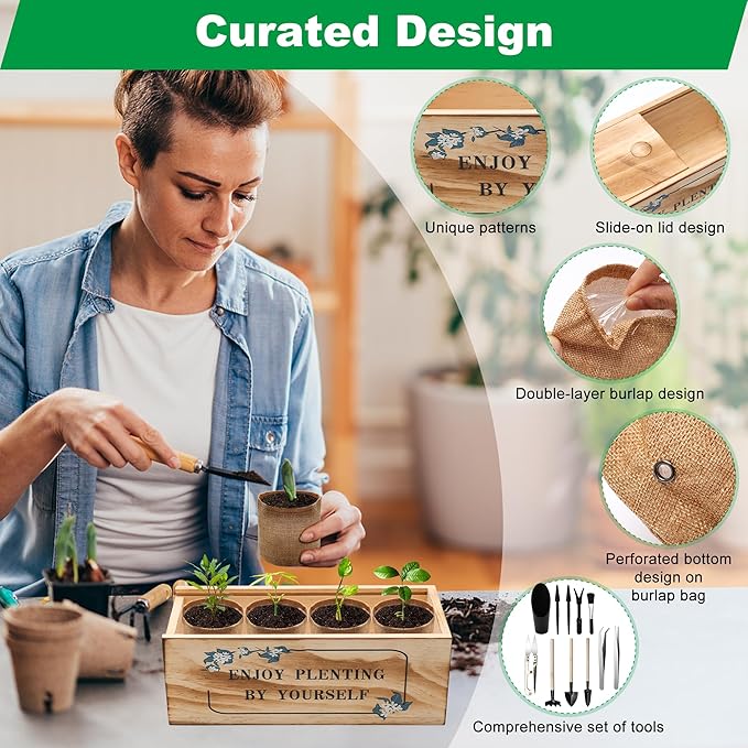 Bonsai Tree Starter Kit, Indoor Bonsai Tree Kit Meeting Planting and Caring Needs Curated Design for A Complete Gardening Experience for Enthusiasts