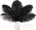 SOGUGOM Black Craft Ostrich Feathers - 30PCS 8-10 inch Ostrich Feathers Kit for Centerpieces, Kindergarten Crafts, Dream Catchers and DIY Projects(Black)