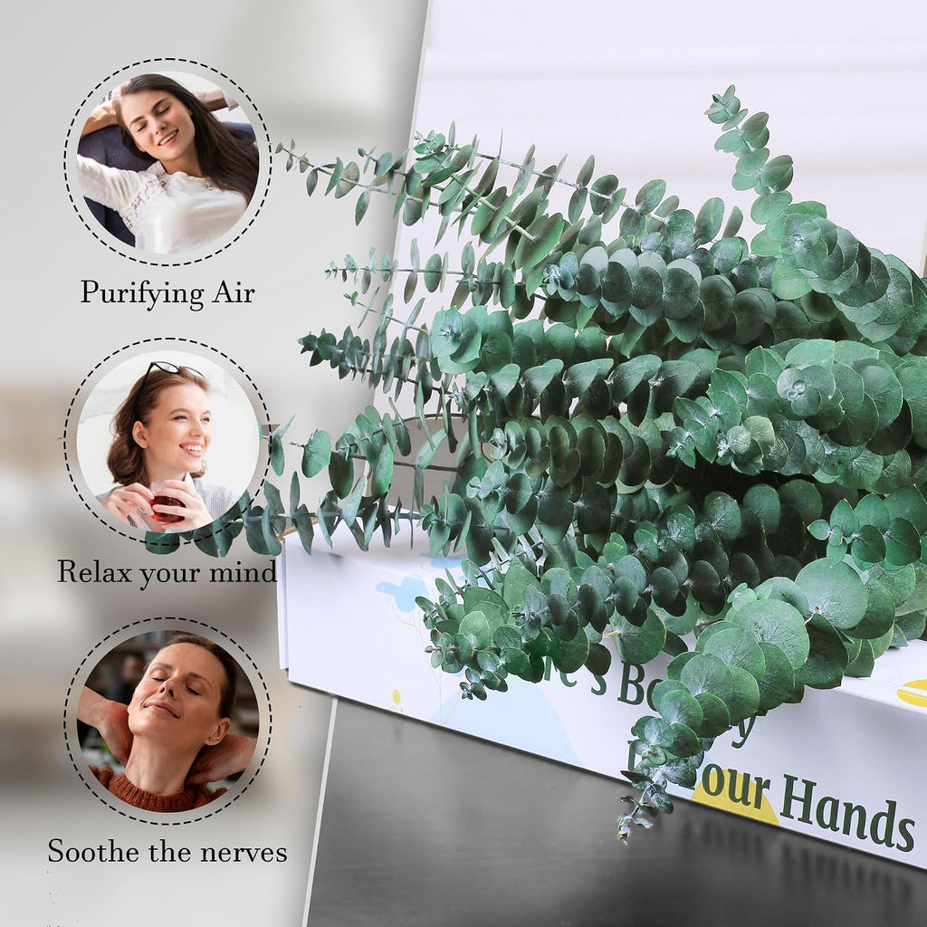 30Pcs Dried Eucalyptus Stems, 17" Real Preserved Eucalyptus Plant for Shower, Fresh Natural Branches for Vase, Eucalyptus Bundle for Home Decor, Wedding, Baby Shower, Bathroom