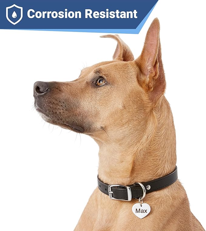 GoTags Stainless Steel Pet ID Tags, Personalized Dog Tags and Cat Tags, up to 8 Lines of Custom Text, Engraved on Both Sides, in Bone, Round, Heart, Bowtie and More (Heart, Small (Pack of 1))