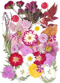 18Types 48PCS Real Dried Purple Pressed Flowers Leaf Plant Herbarium for Crafts Resin Jewelry Making, Floral Cake Decorations-Violet