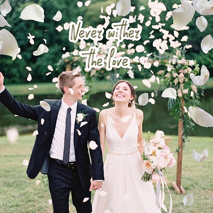 3.5 Oz Dried Rose Petals Wedding Biodegradable Petals, Natural Preservation Real Flower Petals, Suitable for Flower Petals for Flower Girl, Romantic Night, Table Decoration (White, 100g)