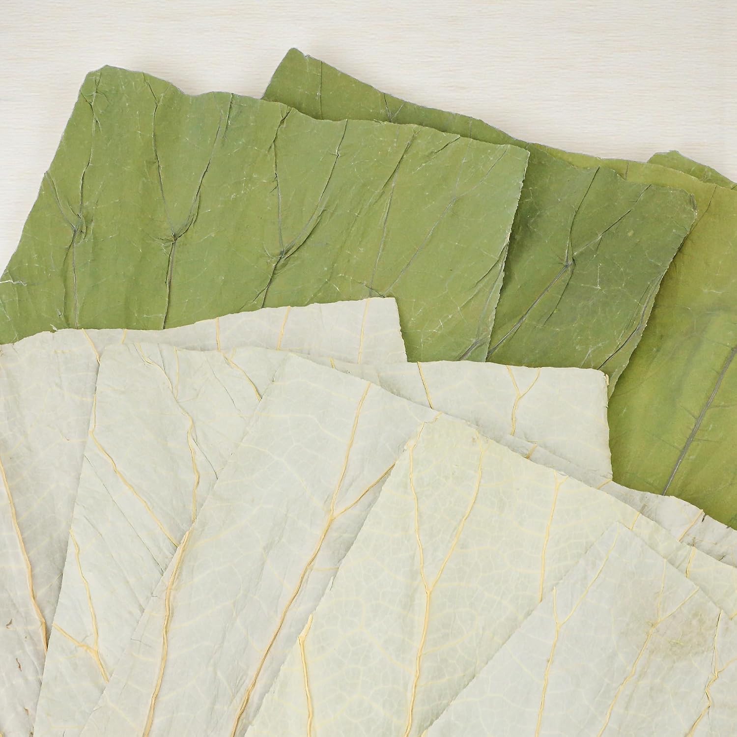 100 PCS Dried Lotus Leaves Food Wrap for Cooking/Decoration, Natural Whole Sheets Square Cutting, Organic Wrapper for Sticky Rice Sushi Dim Sum Lo Mai Gai, Party Making and Serving Plates (8x8 inch)