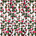 8Pcs 63Ft Pink Rose Garland, Fake Rose Hanging Flowers, Artificial Flower Vine, Hanging Floral Vine Garland for Wedding, Birthday Party, Wall Arch, Halloween, Christmas Garden Backdrop Decor