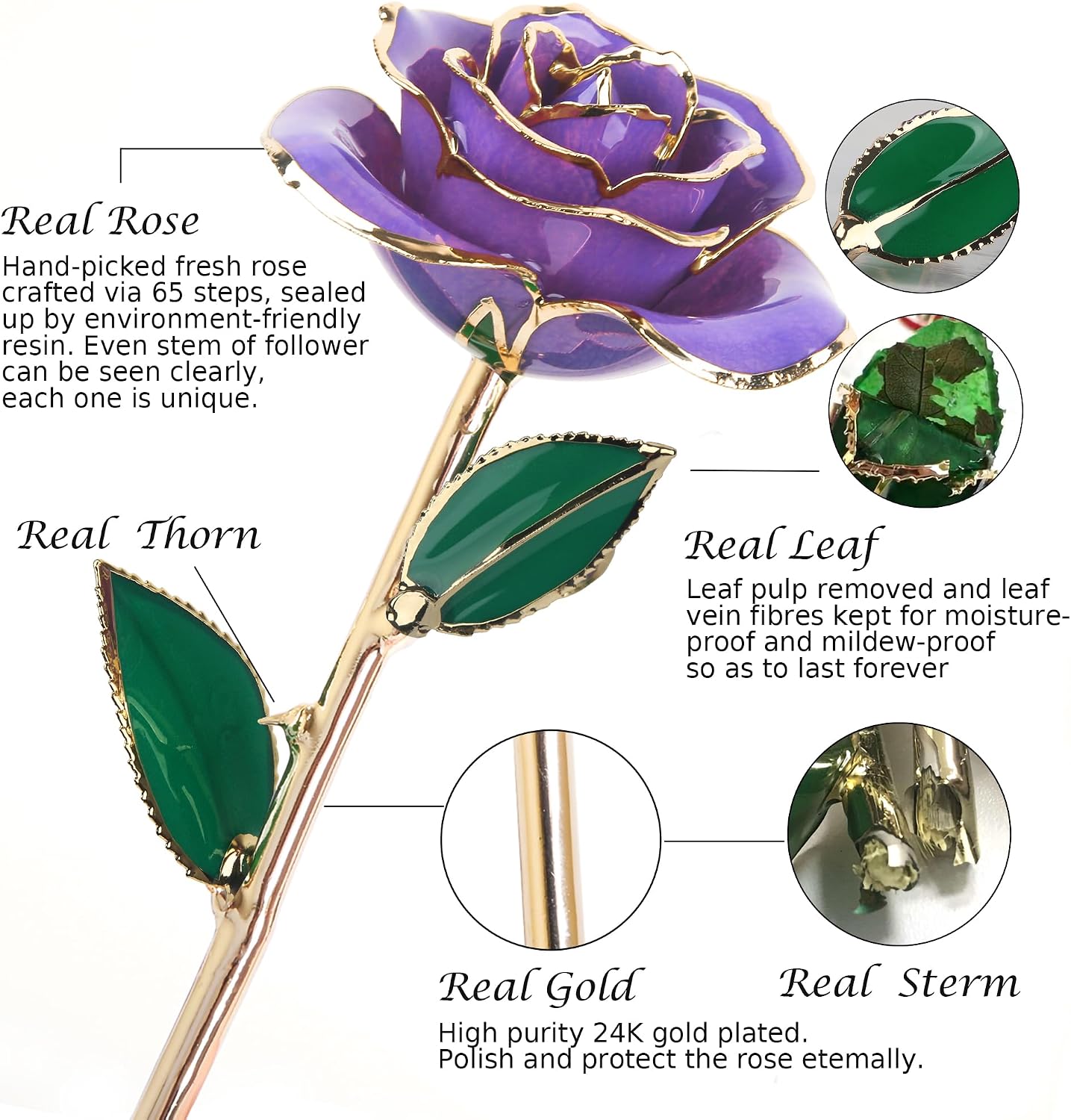 Sinvitron Gold Dipped Infinity Rose - Eternal Resin-Preserved Rose | Forever Flower Decor for Birthdays, Mother’s Day, Anniversaries | Unique Gift for Women, Mom, Wife (Lavender Purple)