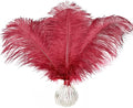 Happy Feather 16-18 inch Wine Rde Ostrich Feathers Craft for Wedding Party Centerpieces Home Decoration DIY Craft Pack of 10