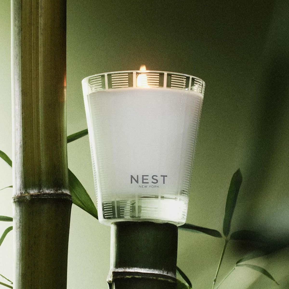 NEST New York Scented Classic Candle, Bamboo - 8.1 oz