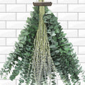 Mixed Dried Eucalyptus Stems with Lavender Flowers Bundle for Shower, 17'' Natural Eucalyptus Leaves Branches Hanging Shower Plant for SPA Home Fragrance Bathroom Table Vase Decor, 2 Pack