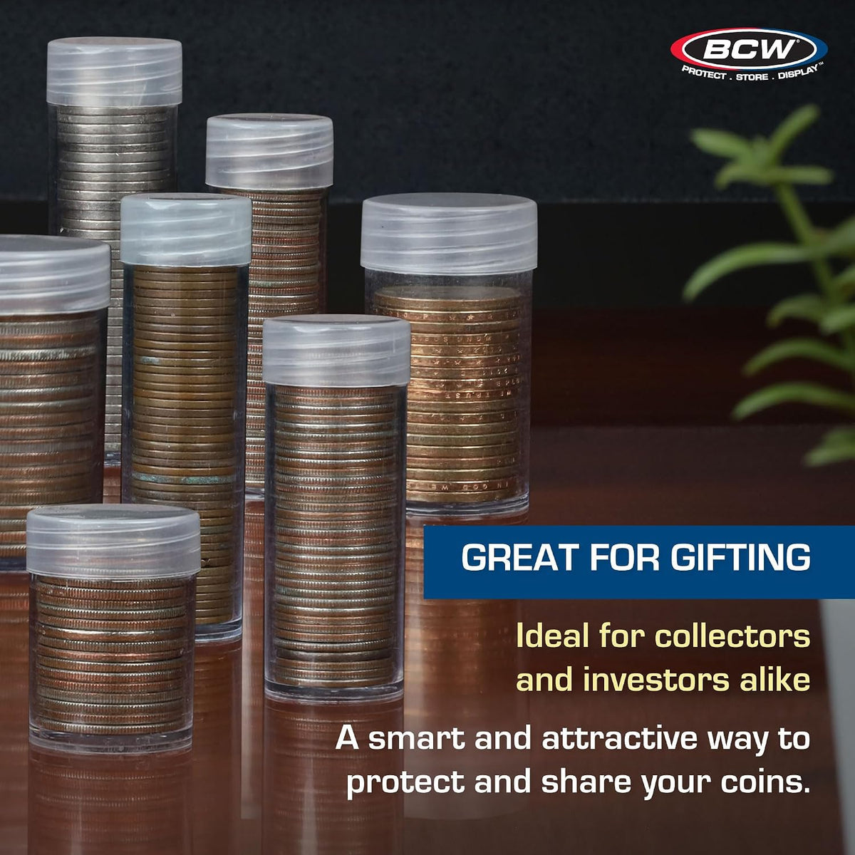 BCW Penny Coin Tubes for US Lincoln Pennies, Airtight Screw Caps, 100 Pack