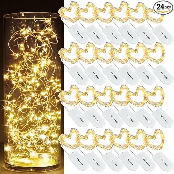 CYLAPEX Pack of 24 Fairy String Lights Battery Operated, 3.3ft 20 LEDs Halloween Silver Coated Copper Wire for DIY Decor Christmas Decoration Costume Warm White