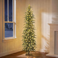 verinatural 6ft prelit christmas tree with lights, skinny, main product view