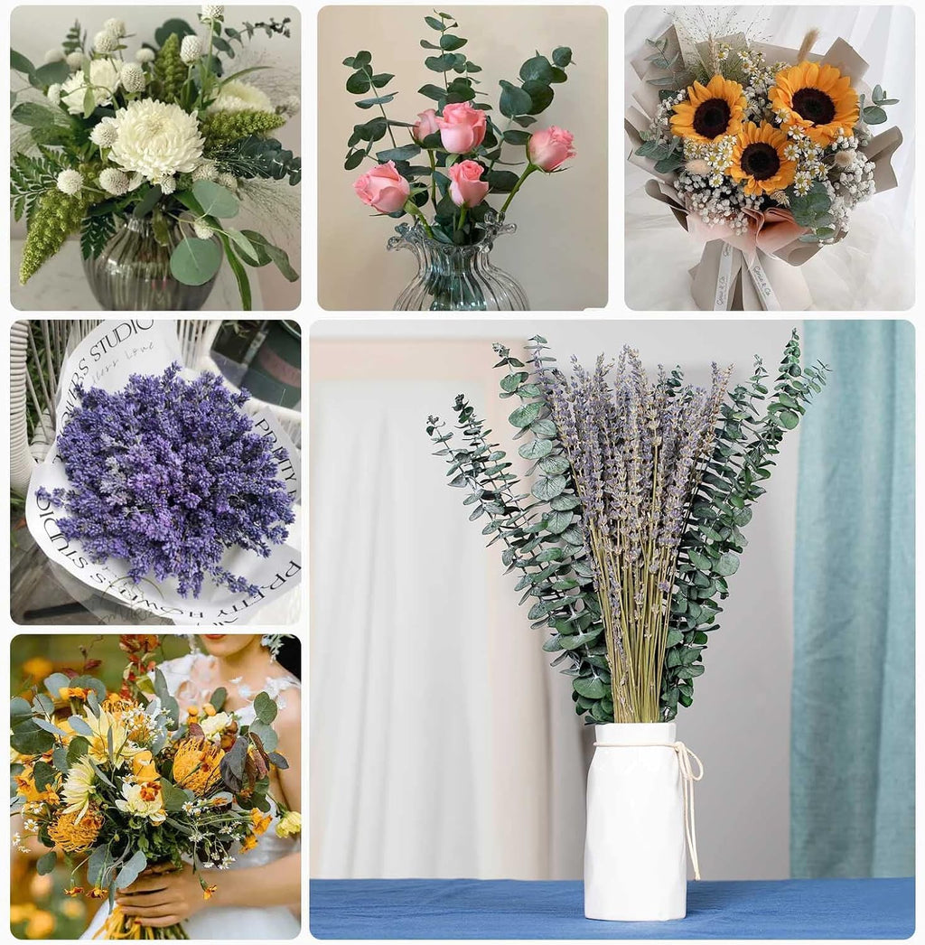 Mixed Dried Eucalyptus Stems with Lavender Flowers Bundle for Shower, 17'' Natural Eucalyptus Leaves Branches Hanging Shower Plant for SPA Home Fragrance Bathroom Table Vase Decor, 2 Pack