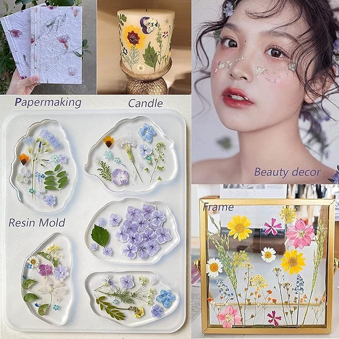15Types 48Pcs Fall Real Dried Pressed Flowers Maple Leaf Plant Herbarium for Frame Crafts Resin Jewelry Making, Floral Cake Decorations-Fall