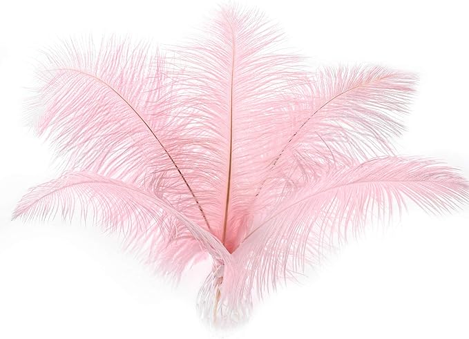 24pcs Natural Light Pink Ostrich Feathers 10-12inch (25-30cm) for Wedding Party Centerpieces，Flower Arrangement and Home Decoration.