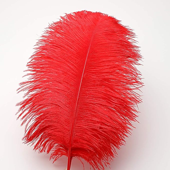 24pcs Natural Bright Red Ostrich Feathers 10-12inch (25-30cm) for Wedding Party Centerpieces，Flower Arrangement and Home Decoration.