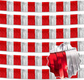 6 Pack 10 Feet Red and Silver Tinsel Foil Fringe Garland, Metallic Streamers Banner Wall Hanging Garland for Parade Floats, Graduation, Birthday, Baby Shower, Disco, Celebration Party Decoration
