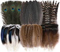 Holmgren 24pcs Natural Feathers Bulk - 6 Styles Assorted Peacock, Pheasant, Turkey Feathers for Craft DIY Jewelry Hat Wedding Home Party Decoration
