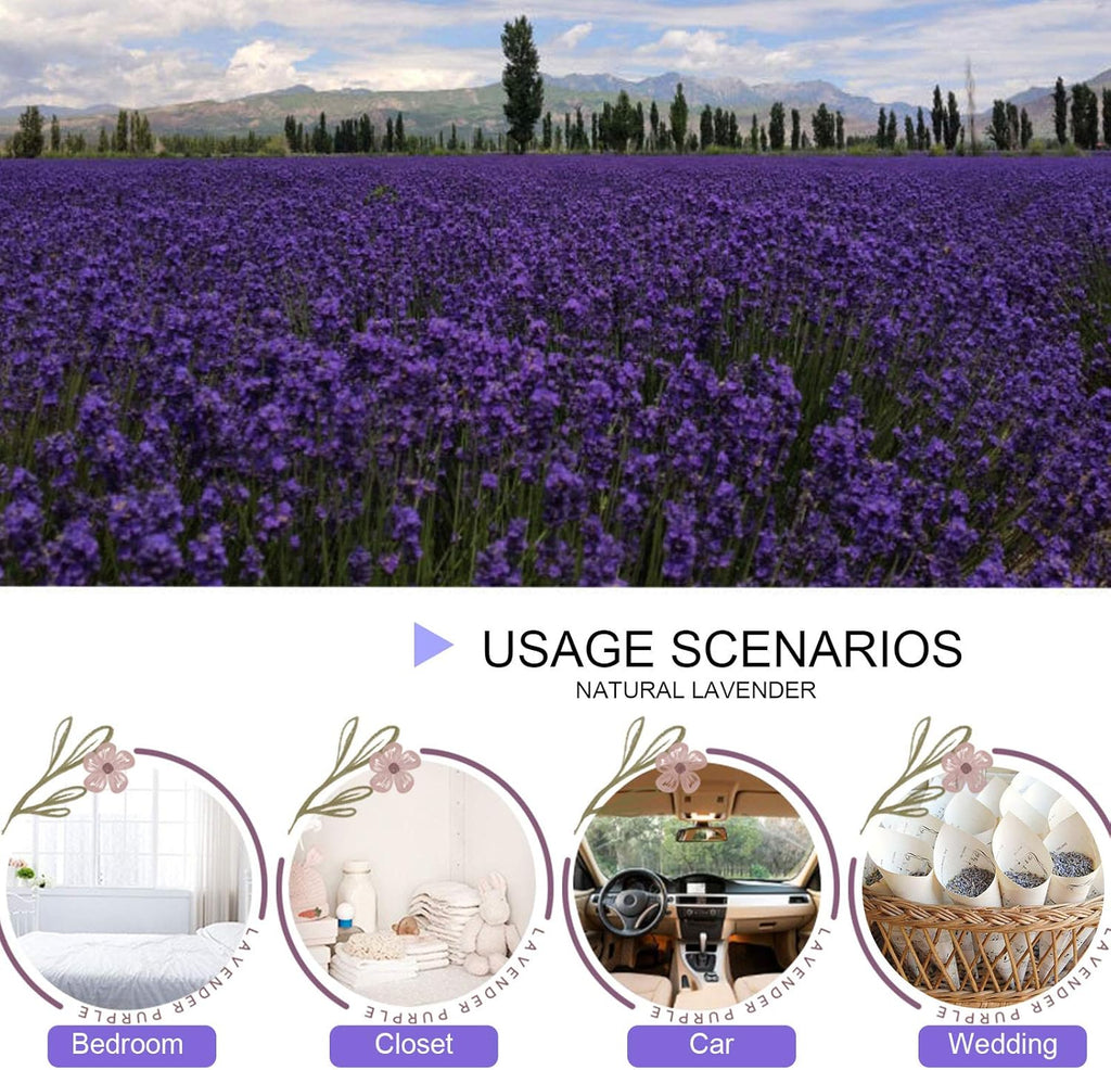 Dried Lavender Flowers, Dry Lavender Buds Bulk for Wedding Toss, Crafts, Sachets - 1/2 Pound