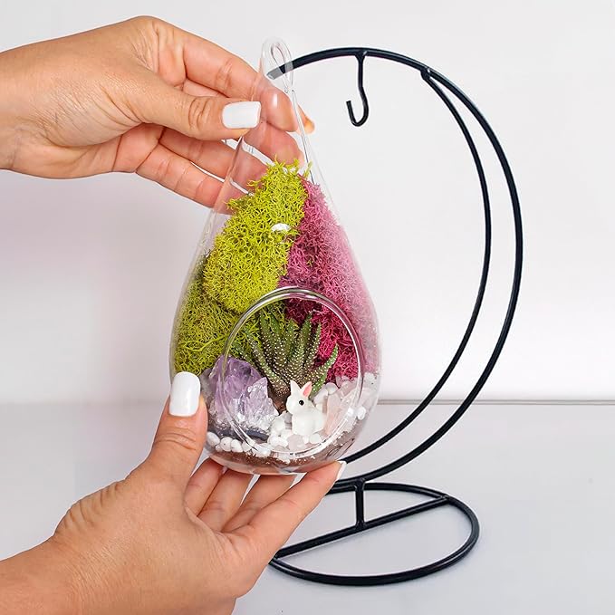 7" DIY Teardrop Terrarium Kit with Live Plants - Hanging Glass Planter with Stand for Adults & Kids - Build a Mini Ecosystem with Moss, Crystals, Tools - Made in The USA
