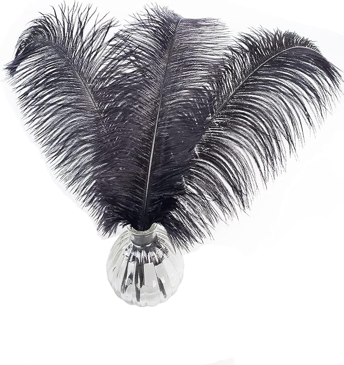 Happy Feather 16-18 inch Black Ostrich Feathers Craft for Wedding Party Centerpieces Home Decoration DIY Craft Pack of 10