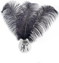 Happy Feather 16-18 inch Black Ostrich Feathers Craft for Wedding Party Centerpieces Home Decoration DIY Craft Pack of 10