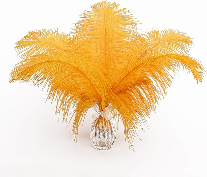 12pcs Natural Luxury Gold Ostrich Feathers 12-14inch (30-35cm) for Wedding Party Centerpieces，Flower Arrangement and Home Decoration.