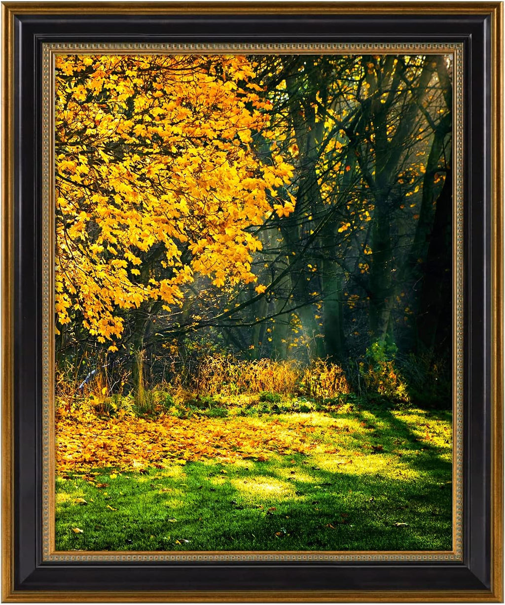 16x20 ornate picture frame with real glass,gold black, main product view