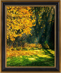 16x20 ornate picture frame with real glass,gold black, main product view