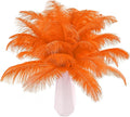 THARAHT Orange Ostrich Feathers 12pcs Natural Bulk 10-12Inch 25cm-30cm for Crafts Wedding Party Centerpieces Halloween and Home Decoration Feathers