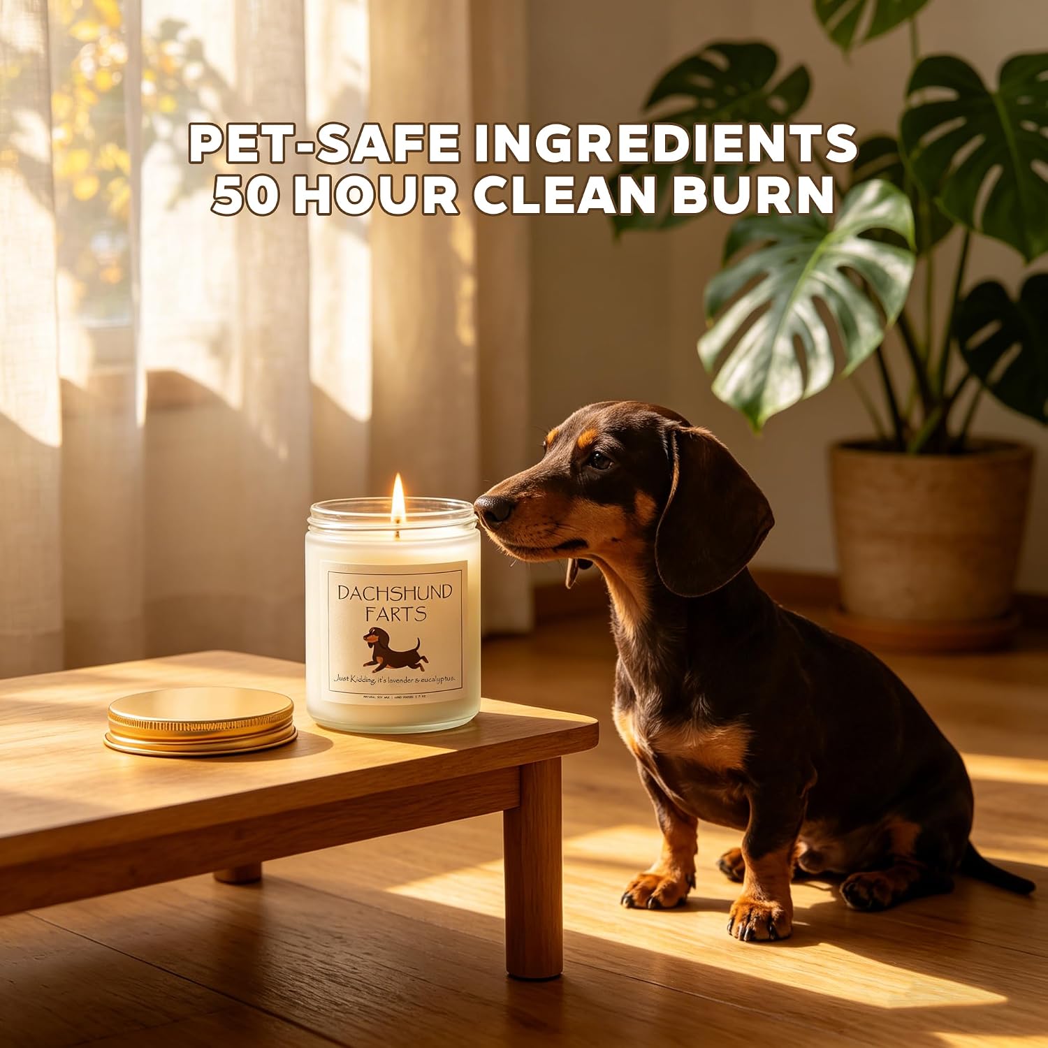 Funny Dachshund Gifts – 100% Soy Wax Scented Candle for Dachshund Lovers, Pet Safe Lavender & Eucalyptus, 50H Burn Time, Weiner Dog Gifts for Women, Unique Dachshund Decor – 7oz
