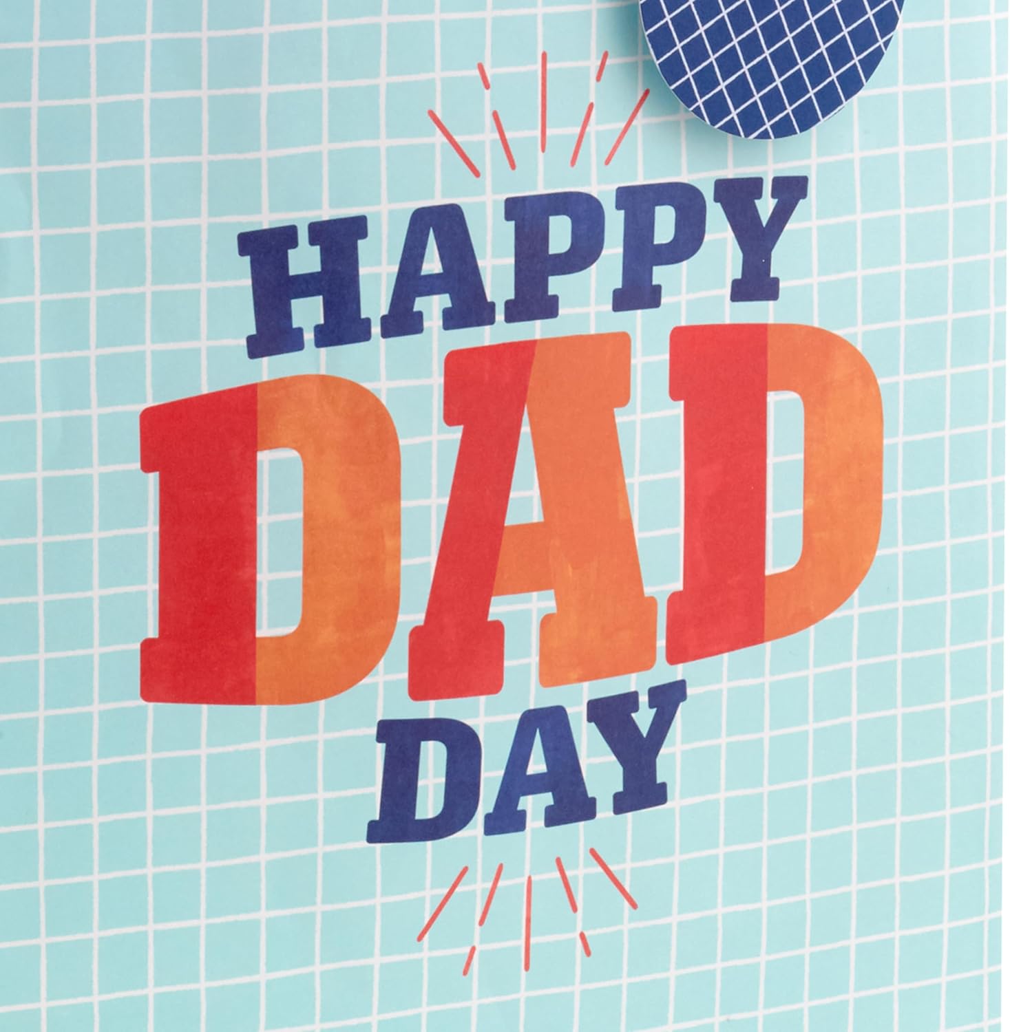 Hallmark 13" Large Father's Day Gift Bag with Tissue Paper and Gift Tag (Happy Dad Day, Light Blue)