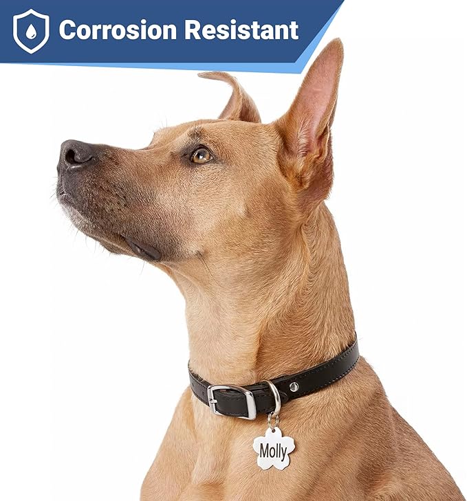 GoTags Stainless Steel Pet ID Tags, Personalized Dog Tags and Cat Tags, up to 8 Lines of Custom Text, Engraved on Both Sides, in Bone, Round, Heart, Bowtie and More (Flower, Regular (Pack of 1))