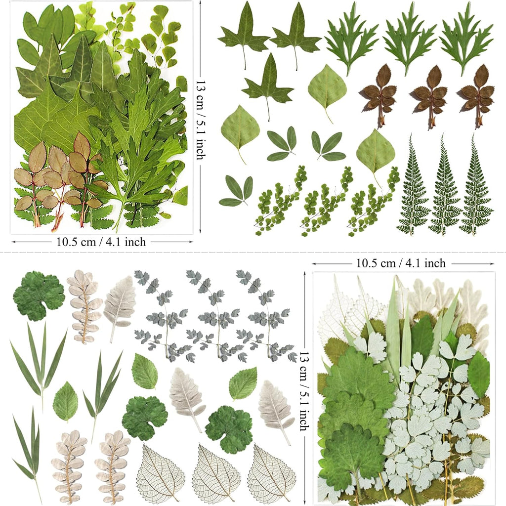 MIKIYA 84Pcs Pressed Dried Leaves for Resin Molds, Assorted Real Natural Bulk Dry Flowers for DIY Art Crafts, Epoxy Jewelry, Candle, Soap Making, Nails Decors Gifts