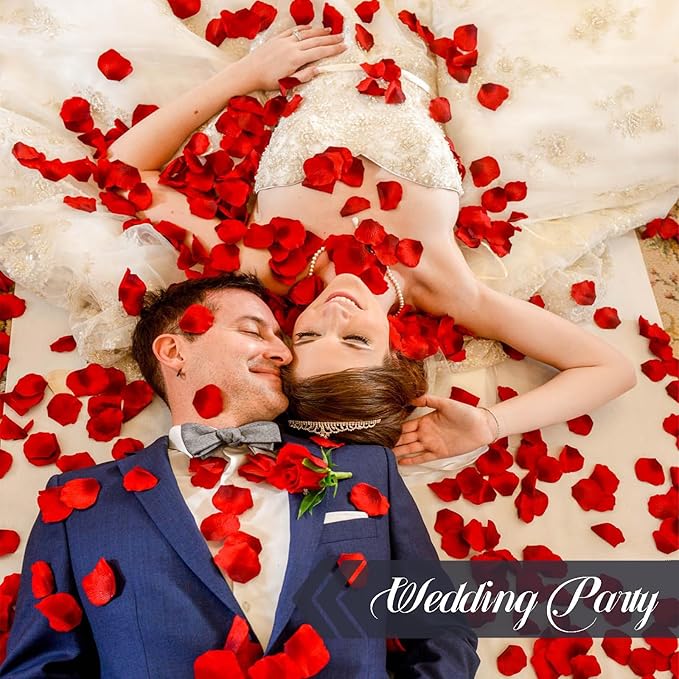 3.5 Oz Dried Rose Petals Wedding Biodegradable Petals, Natural Preservation Real Flower Petals, Suitable for Flower Petals for Flower Girl, Romantic Night, Table Decoration (Red, 100g)