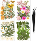 Nuanchu Dried Pressed Flowers for Craft Resin Real Flat Dried Flowers Leaves with Tweezer for Scrapbooking Silicone Epoxy Resin Molds Crafts Candle Soap Making Nails Bookmark Jewelry DIY Art Supply