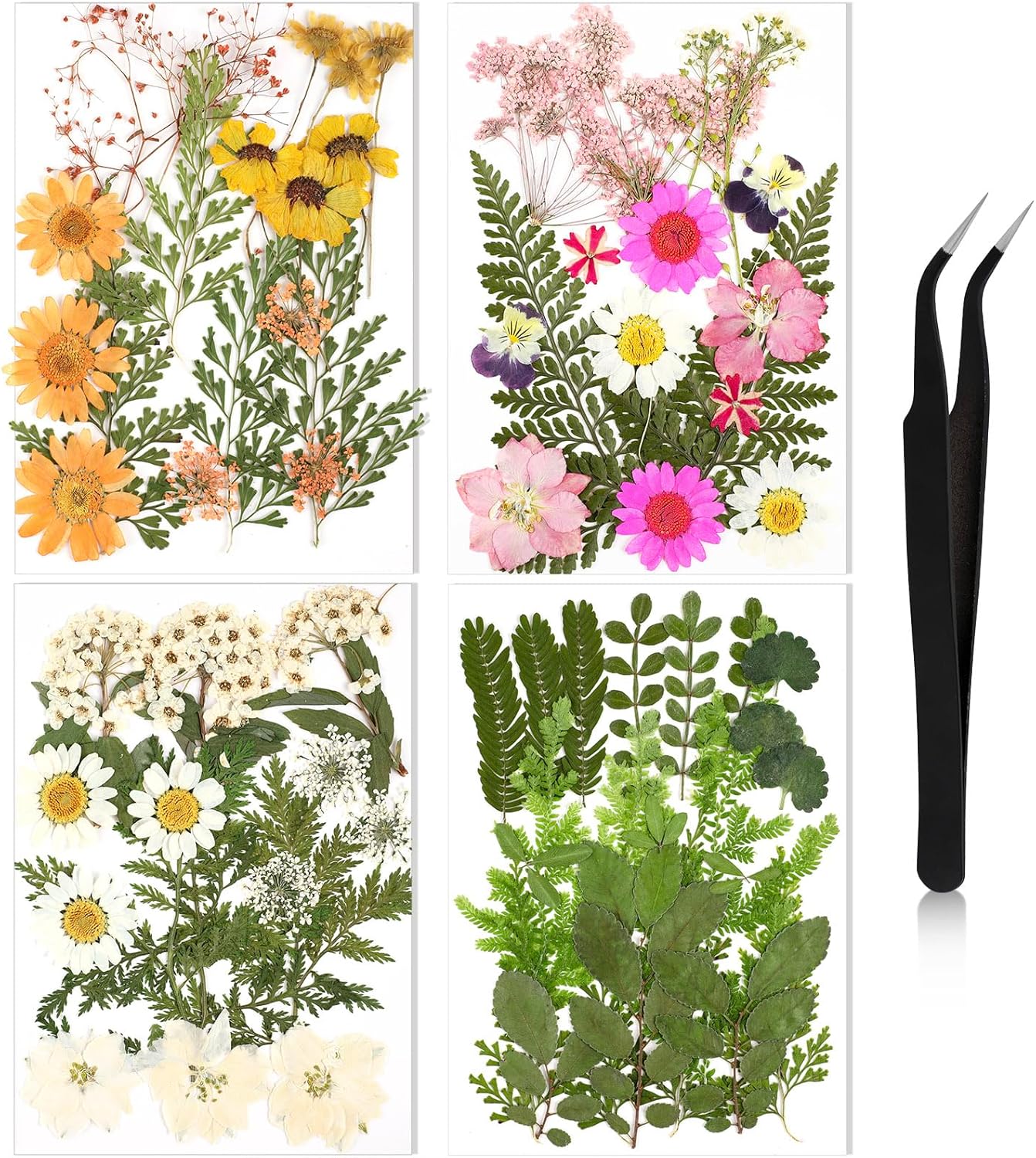 Nuanchu Dried Pressed Flowers for Craft Resin Real Flat Dried Flowers Leaves with Tweezer for Scrapbooking Silicone Epoxy Resin Molds Crafts Candle Soap Making Nails Bookmark Jewelry DIY Art Supply