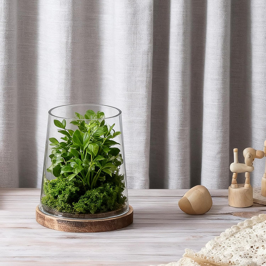 6" Wide Glass Hurricane Candle Holders with Handmade Sturdy Glass Sleeves and Vintage Natural Wood Base for Pillar Candle & Plants, Industrial, Farmhouse, Display Cloche Bell Jars, Table Centerpiece