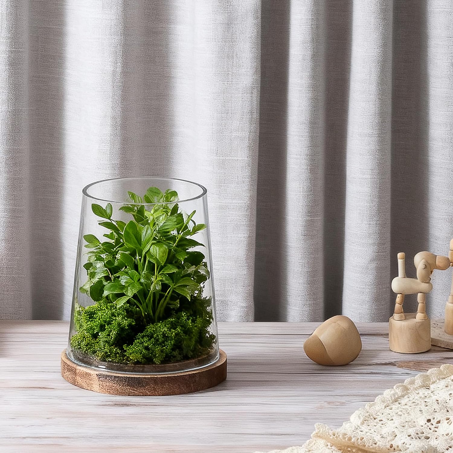 6" Wide Glass Hurricane Candle Holders with Handmade Sturdy Glass Sleeves and Vintage Natural Wood Base for Pillar Candle & Plants, Industrial, Farmhouse, Display Cloche Bell Jars, Table Centerpiece