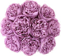 U'Artlines Artificial Peony Silk Flower with Stems 10pcs Real Look Vintage Peonies for Home Wedding Decoration (Purple)