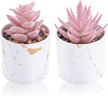 Der Rose Set of 2 Succulents Plants Artificial Mini Fake Succulents Plants for Office Desk Accessories for Women Pink Home Vanity Decor