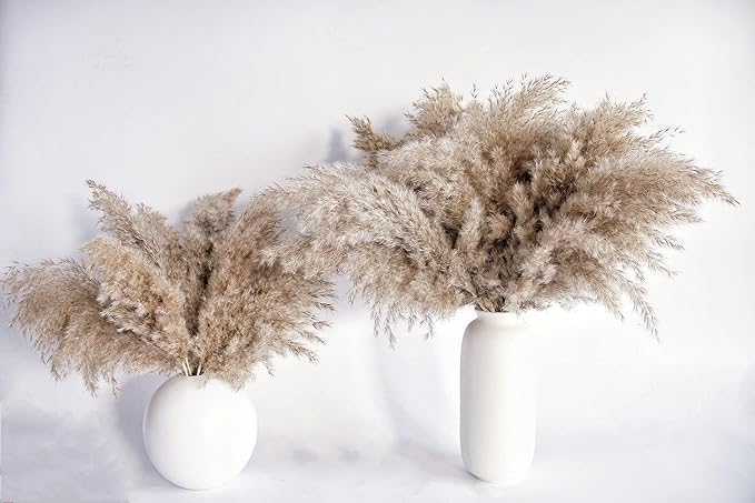 Pampas Grass Decor, Natural Dry Pampas Grass Small, Short Pampass Bulk for Farmhouse, Wall, Kitchen, Bedroom Decor, Office Decor (17 inch )